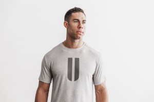 Nobull Horns T-shirts Herren Grau | 53829-AYPD