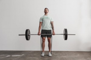 Nobull Seasonal Colors T-shirts Herren Mintfarben | 32086-LUJM